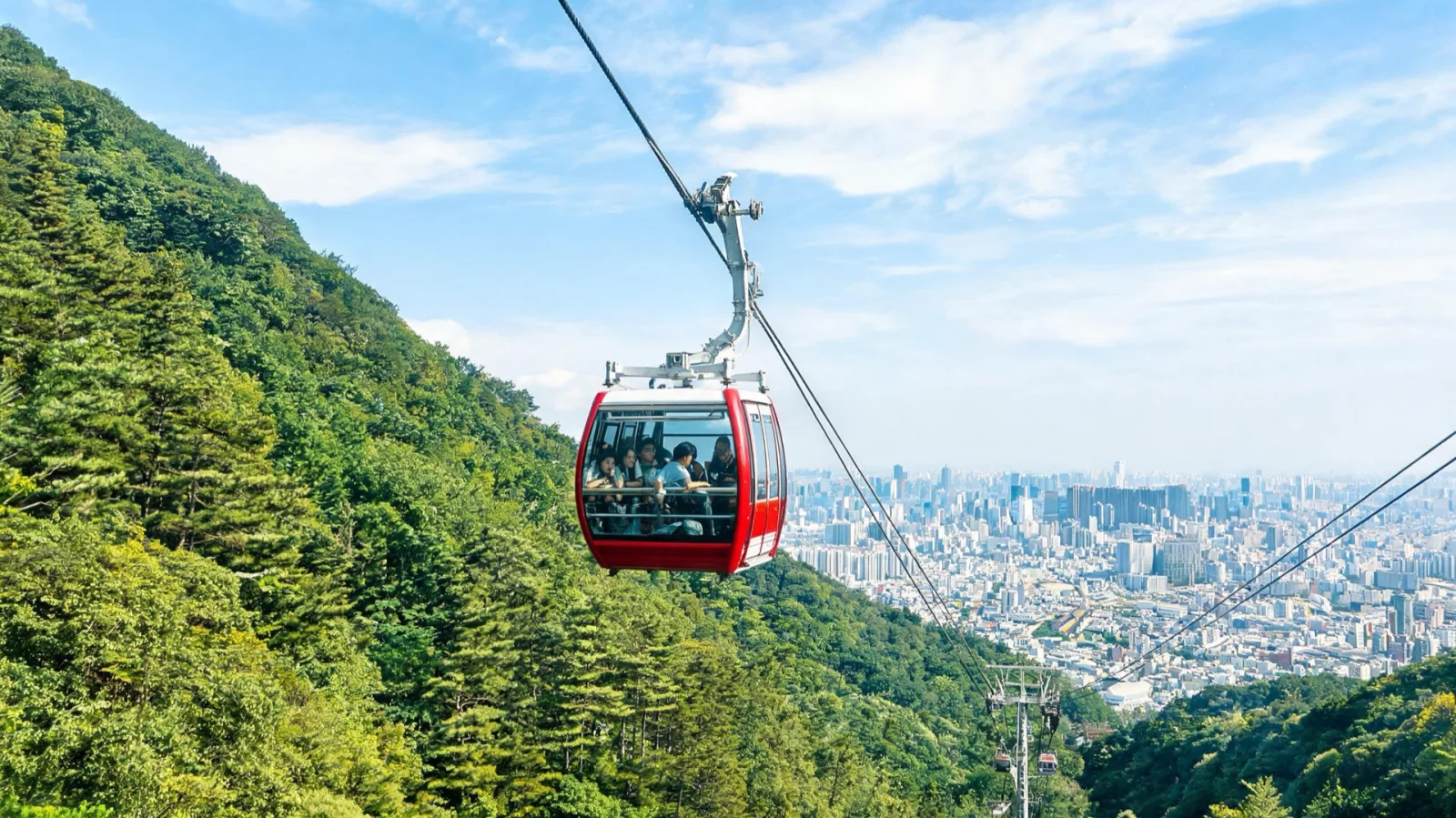 林木山坡上方的纜車車廂