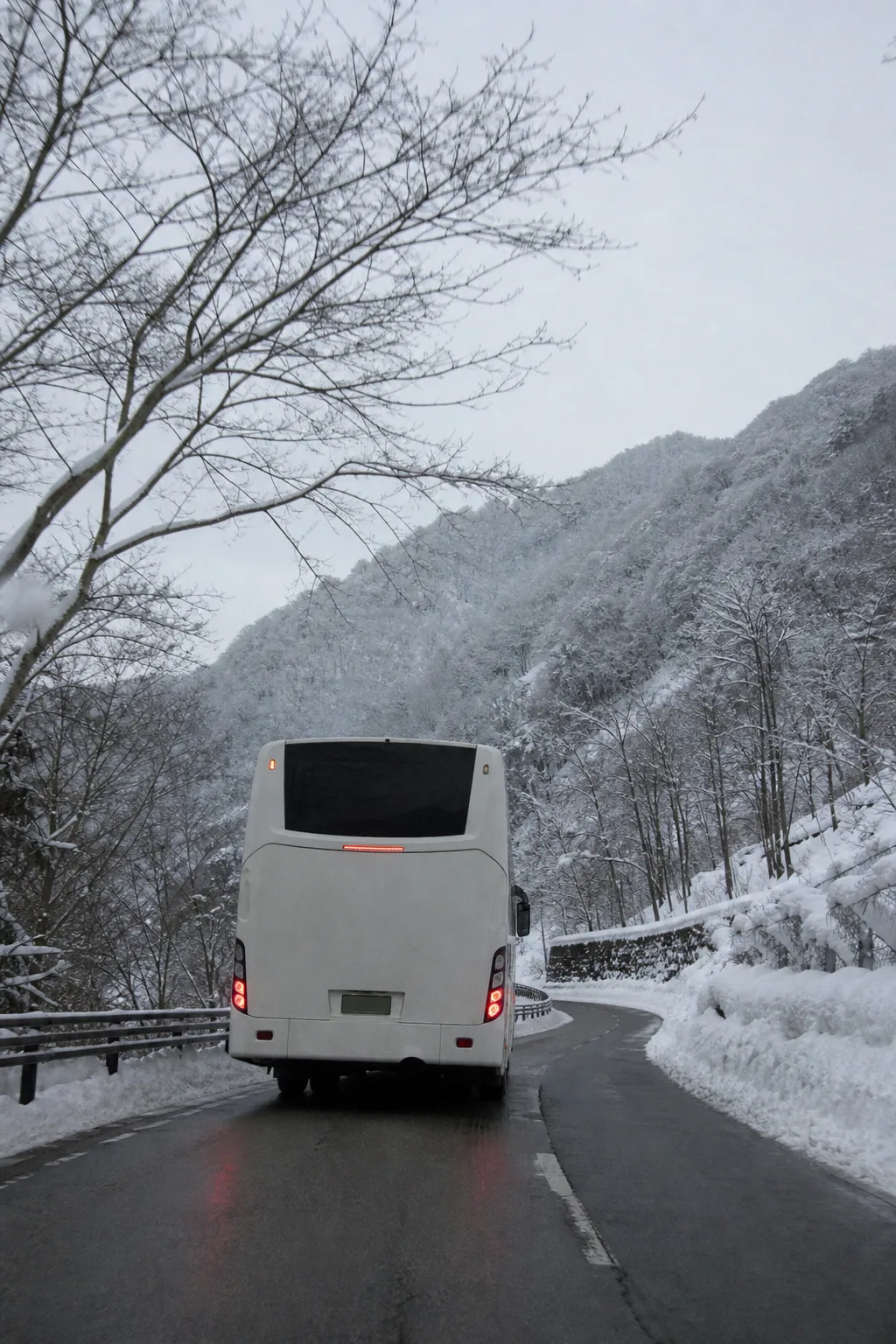濃飛巴士行駛於雪地山路