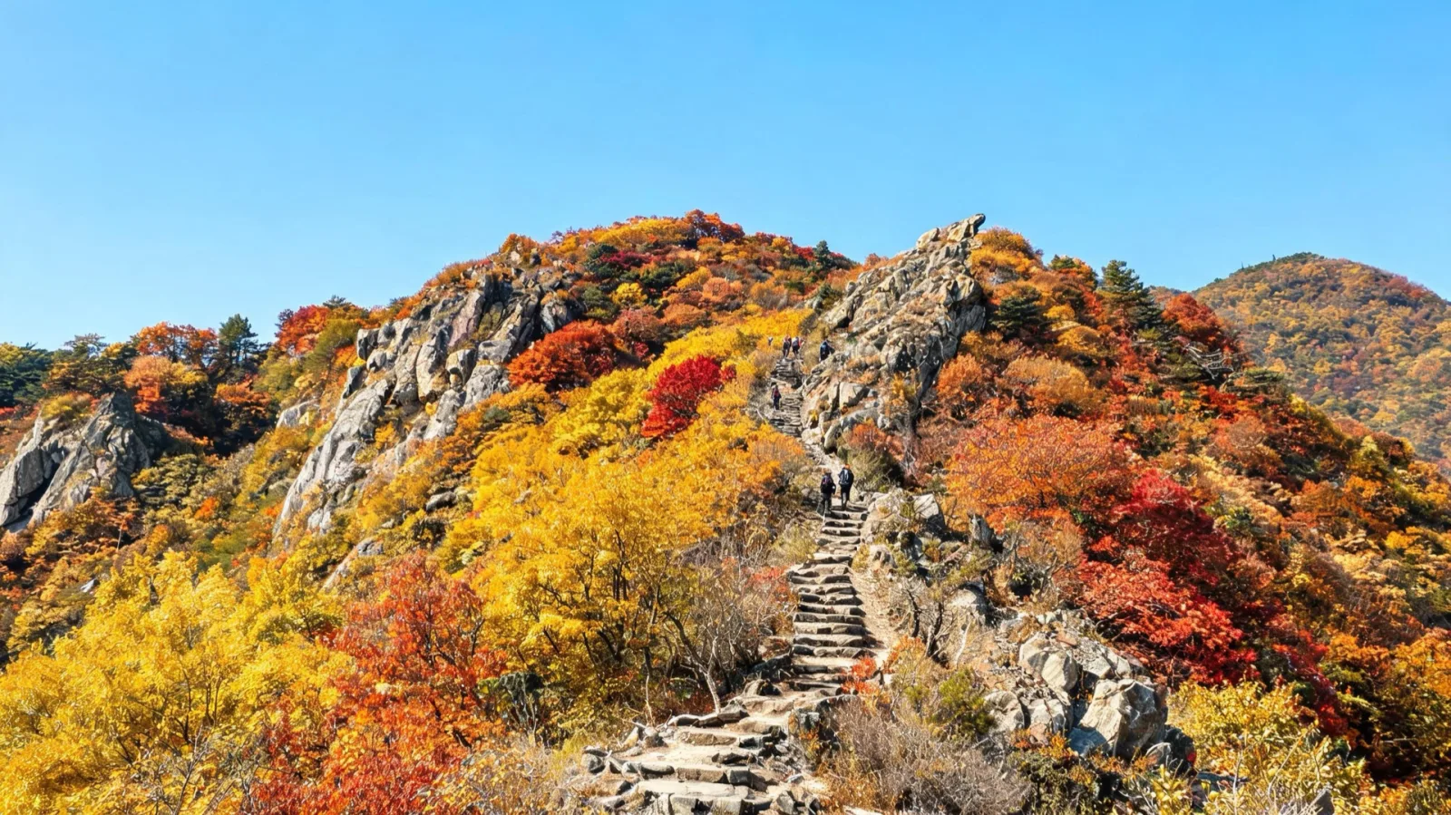 Soyosan ridge foliage — the autumn scene on the stairway course toward Baegundae