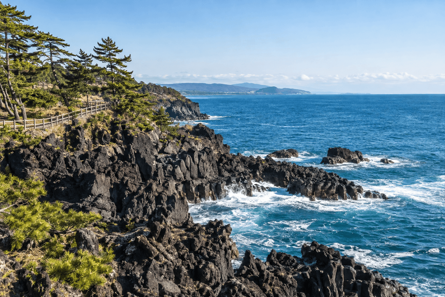 Example scene of the coastal rocks and pine forest at Daewangam Park