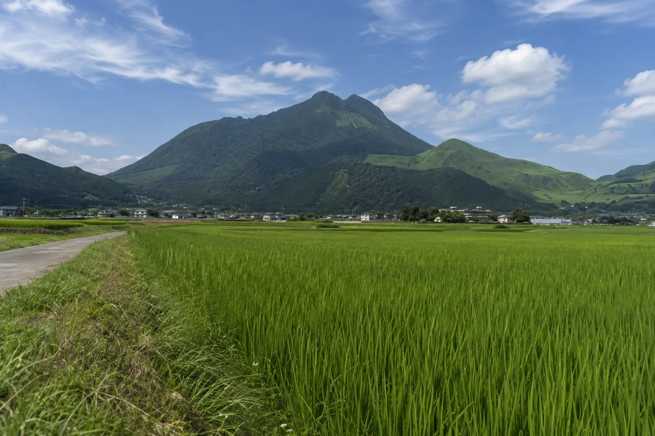 The twin peaks of Mount Yufu above rice fields and a village in the Yufuin basin
